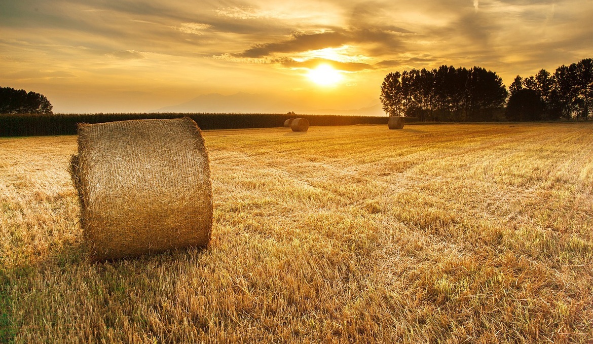 National Rural Health Day is Nov. 15!