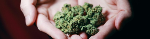 Medical Cannabis Passes Senate Committee