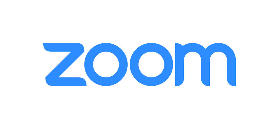 The Privacy Vulnerabilities of Zoom Software and Potential Alternatives