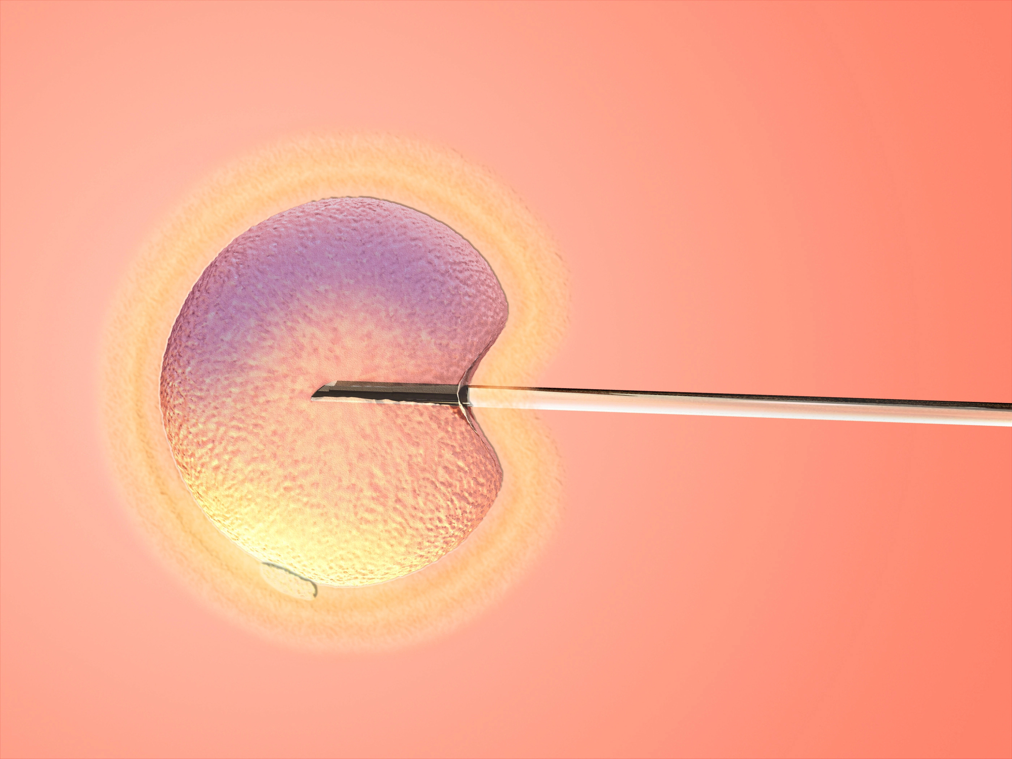 Statement by the Medical Association of Alabama on the Recent Alabama Supreme Court Ruling on the Legal Status of Embryos